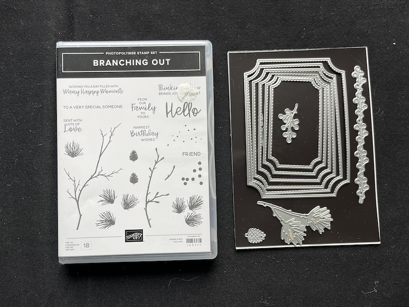Stampin’ Up!®️ Branching Out Bundle